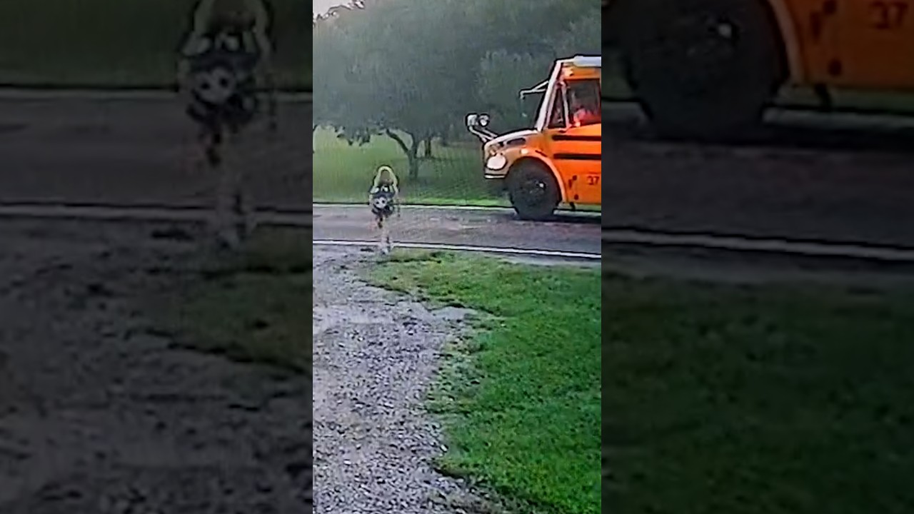 Fast-moving truck nearly hits a girl walking to the bus Fast-moving truck nearly hits a girl walking to the bus