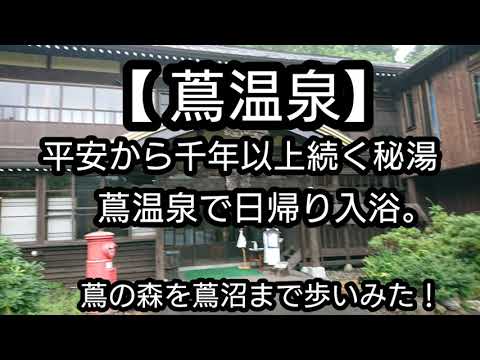 【蔦温泉】青森県の秘湯  蔦温泉で日帰り入浴！蔦の森を蔦沼まで歩いて癒された。