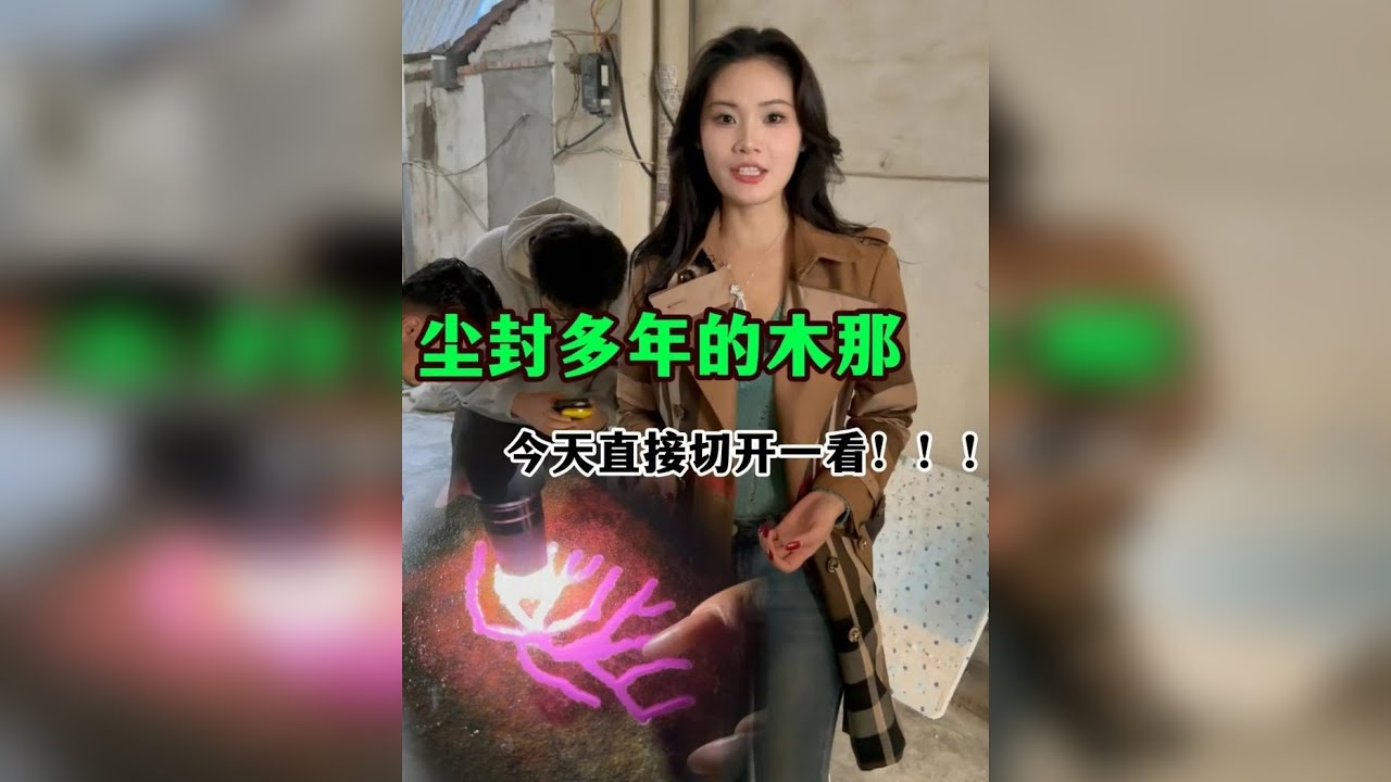 尘封多年的木那，今天直接切开一看！