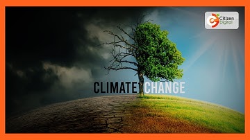 Climate Change and Health stakeholders meet to come up with African position