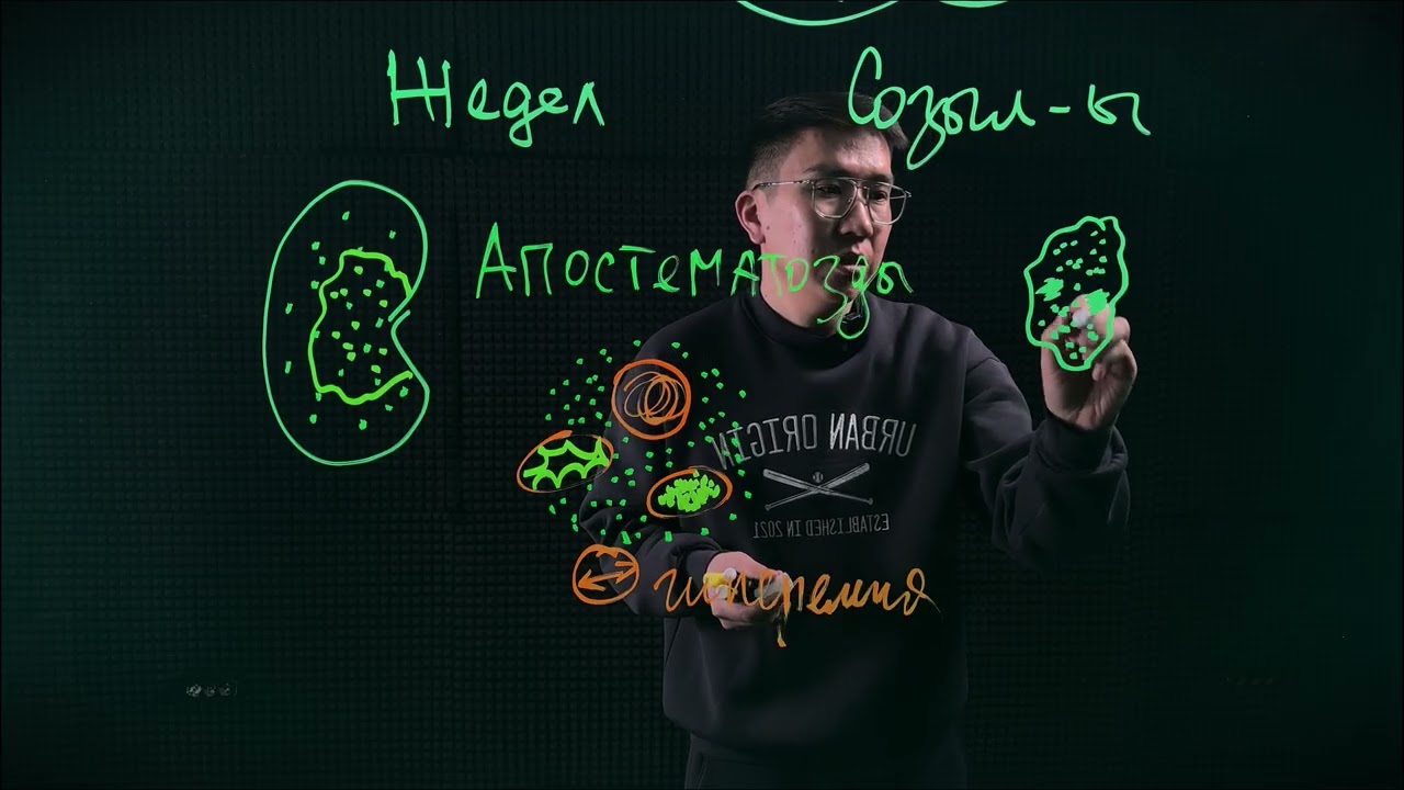 Пиелонефрит #пиелонефрит #медицина #education #морфология #патанатомия #патология 