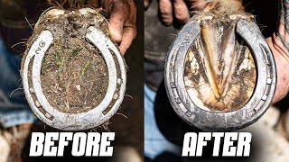 Satisfying Full Horse Hoof Restoration | 4K FARRIER ASMR by Maupin Farrier Co 16,878 views 2 weeks ago 12 minutes, 49 seconds