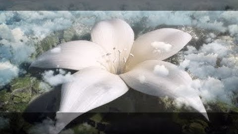 Nier Replicant Part 28 - Final - Ending E: Kaine & Nier, Forever!