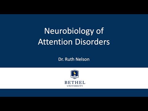 Neurobiology of ADHD