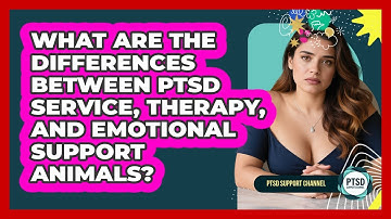 What Are The Differences Between PTSD Service, Therapy, And Emotional Support Animals?