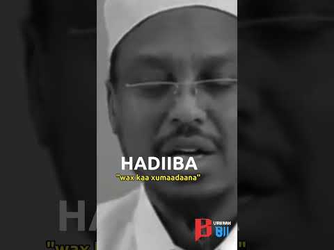 Sheikh Mustafe Meelkasta Aajogto Ilaahay Ka Cabso Shorts 