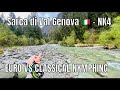 Fly fishing in trentino  sarca di val genova nk4  euro vs classic nymphing