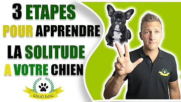 Comment apprendre à un chiot à rester seul