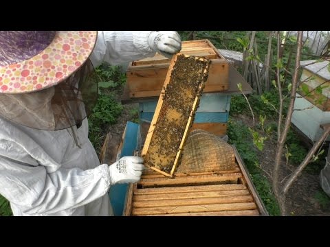 Ставим вторые магазины