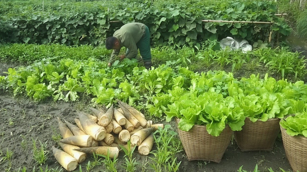 Productive Farm Harvest Gathering Vegetables Melons Roots and Rice for Market Day
