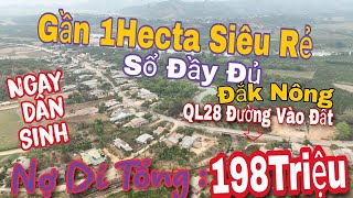 Nợ Dí Đắk Nông Siêu Rẻ Gần 1Ha Sổ Đầy Đủ N Dân Sinh Ql28 Giá Tổng Chỉ 198Triệu Hết Lô Đất