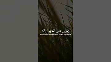 سورة النساء الاية 13 - 14 للقارئ الشيخ #ياسر_الدوسري #قرآن #قران_كريم