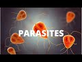 Parasites  how to deal with them