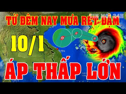 Tin bão Mới