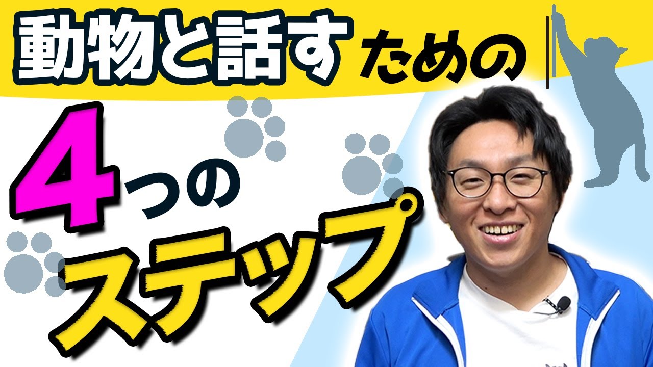 4ステップ どうしたら動物と話せるようになる アニマルコミュニケーション Youtube