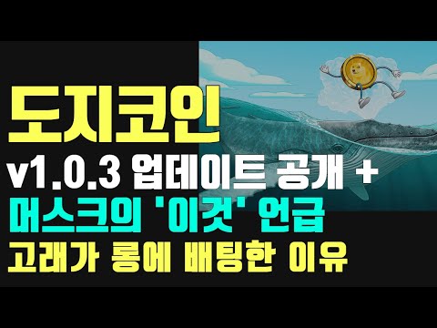   도지코인 V1 0 3 업데이트 공개 머스크의 이것 언급 고래가 롱에 배팅한 진짜 이유