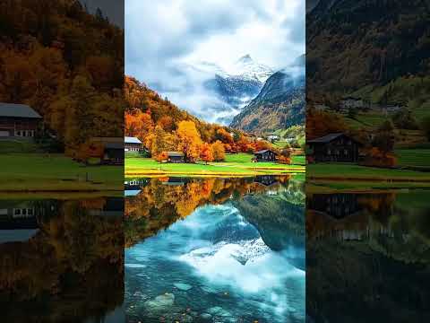 Autumn Colours and