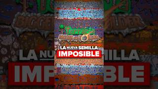 PRUEBA LA VERDADERA SEMILLA ZENITH DE TERRARIA 1.4.5 😤
