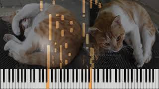 Al Stewart - The Year Of The Cat - Piano Cover