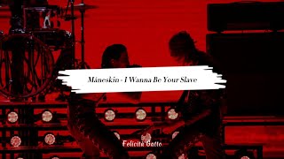 Måneskin - I Wanna Be Your Slave | Lyrics