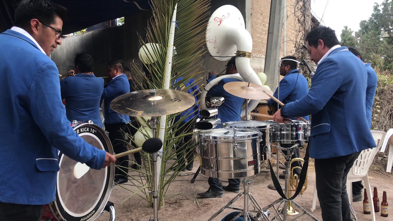 Feliz feliz el gato y yo banda amigos en vivo