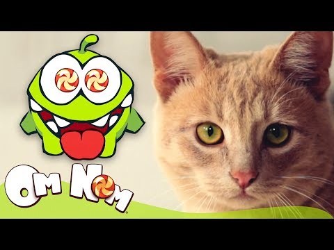 Om Nom Stories - Om Nom and Cat | Cut the Rope's Avatar