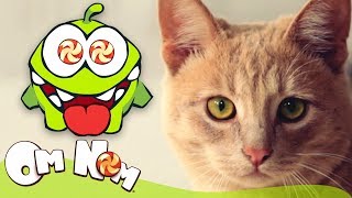 Om Nom Stories - Om Nom and Cat | Cut the Rope screenshot 3