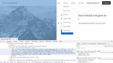 How to freeze element states in browser