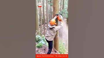FOREST MASTER 🌲💪 how to cut a tree perfectly by mark 😱⚙️#skills #crafts #tools #machinery #wow