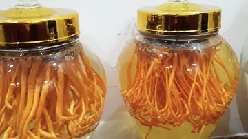 HƯỚNG DẪN CÁCH NGÂM RƯỢU ĐÔNG TRÙNG HẠ THẢO TƯƠI | NHANH - ĐẸP - CHUẨN 👍💯