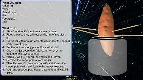 3rd Grade - Reading - Multi-Step Directions - Topic Overview Part 2 of 2