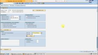 SAP FICO Live Project Automatic Payment Program