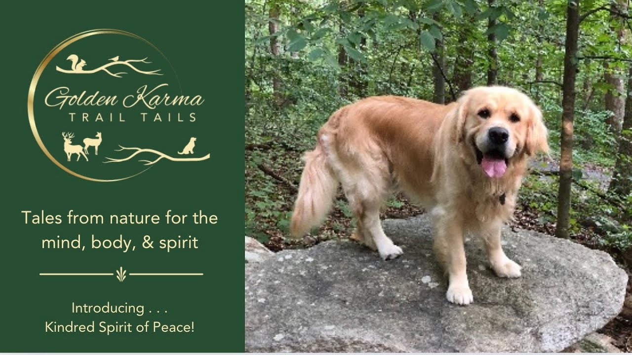 Introducing  . . . Spirit, a Golden Retriever, Who Shares Tales of Peace from Nature