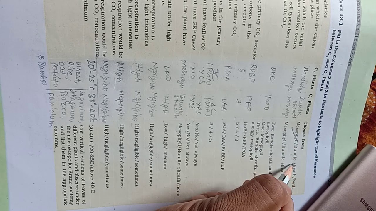 Photosynthesis In Higher Plants Class 11 Table 13 1 Soon YouTube Photosynthesis In Higher Plants Class 11 Table 13 1 Soon YouTube