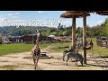Zoo Praha | Prague Zoo 2021 | Zoo in Czech Republic | 4K