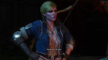 The Witcher 3: Wild Hunt Reason of State Dijkstra defenseless