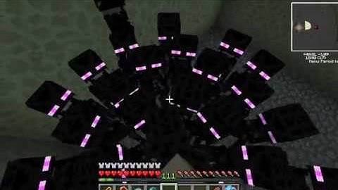 TSS - Simple Enderman Exp. Farm