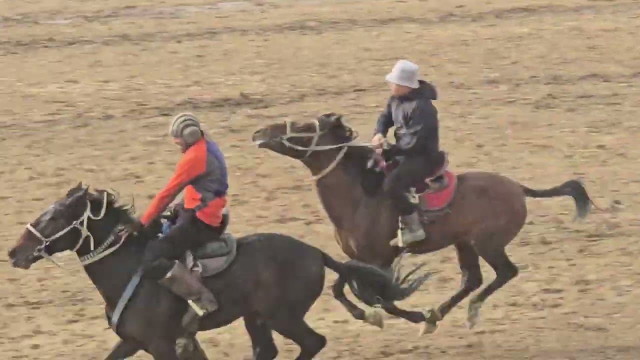 Бузкаши Ч Балхи Шахраки Гулистон 1 11 2025 кисми 1