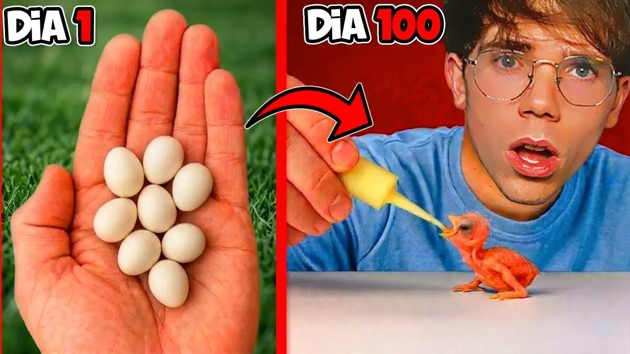 🐣 Rescate 100 Huevos Misteriosos y Nacieron 🐣