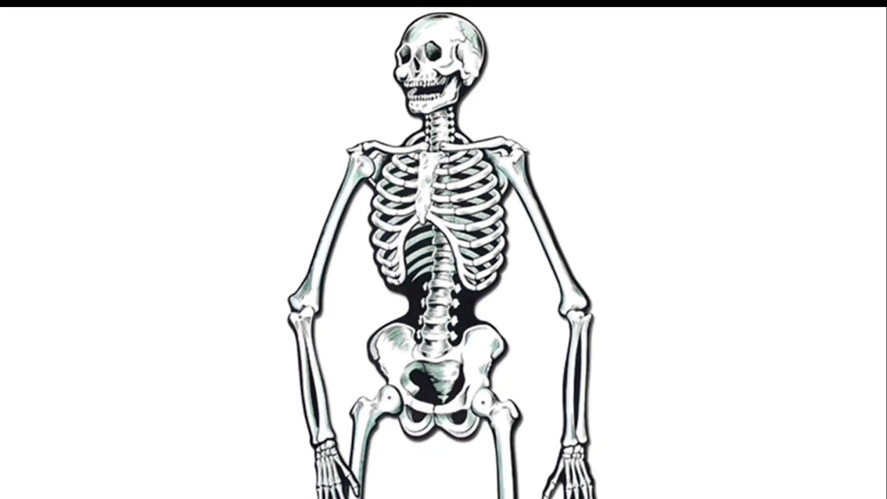 NcScumbags X Clean Culture X Import Expo