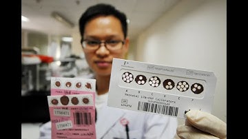 Automated Punch System, DBS puncher