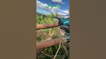 Makita Pruning Saw DUC150 #dolmar #bucking #chainsaw #ripsaw #makita