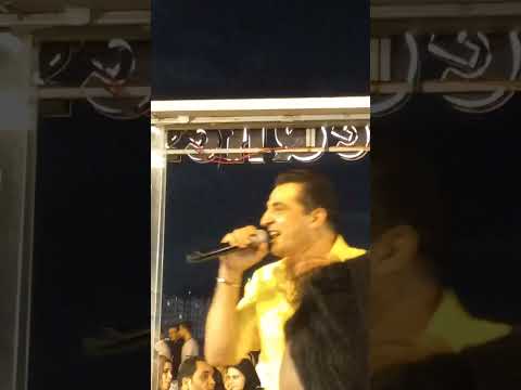 محمود الدالي تيفولي دوم