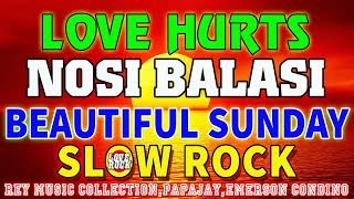 SLOW ROCK LOVE SONGS NONSTOP 2022 🔥✅BY REY MUSIC COLLECTION, PAPAJAY, EMERSON CONDINO, BUDDY GUM