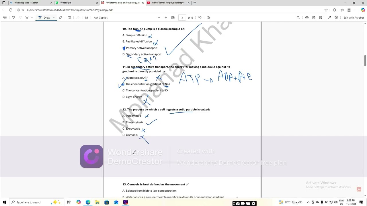 physiology mid revision questions part2