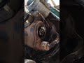 control valve service