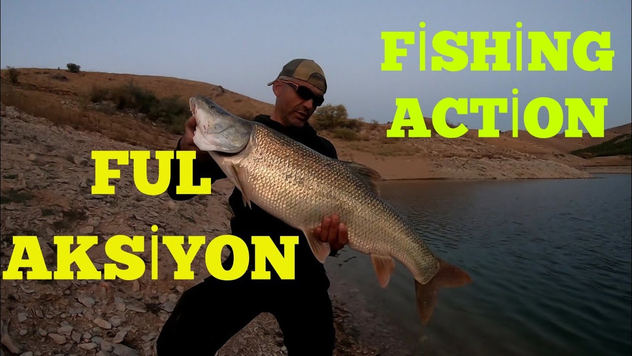 Охота на эндемичных рыб Турции, Luciobarbus Esocinus