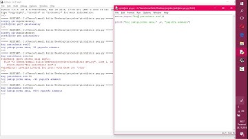 PYTHON DERS #4:KULLANICIDAN GİRDİ ALMA (İNPUT) ve İLK KODLAMALAR