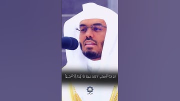 " ووضع الكتاب " تلاوة خاشعة للشيخ ياسر الدوسري 24-1-1445هـ