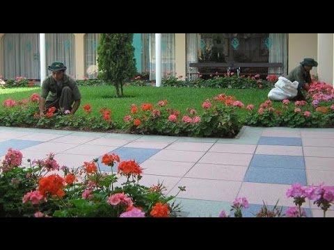 Video: Cómo Mantener Un Lugar En El Jardín De Infantes